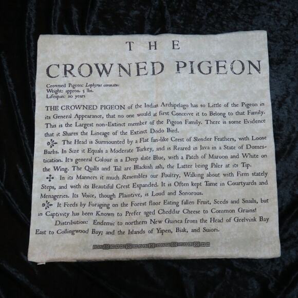 The Crowned Pigeon Pottery Barn Decorative 2012 20x20 RARE Sham Bird Text GUC - Picture 8 of 12